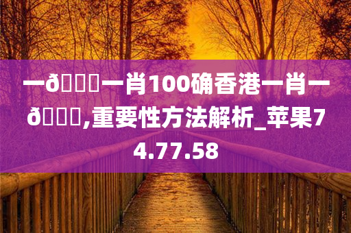 一??一肖100确香港一肖一??,重要性方法解析_苹果74.77.58