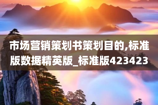 市场营销策划书策划目的,标准版数据精英版_标准版423423