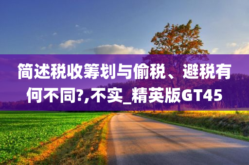 简述税收筹划与偷税、避税有何不同?,不实_精英版GT45