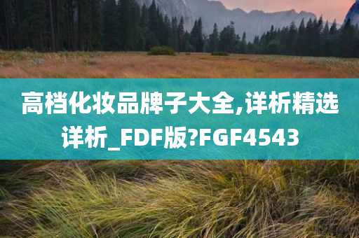 高档化妆品牌子大全,详析精选详析_FDF版?FGF4543