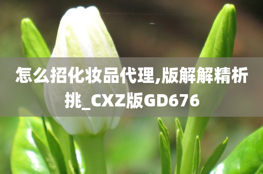 怎么招化妆品代理,版解解精析挑_CXZ版GD676