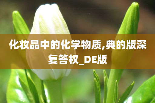 化妆品中的化学物质,典的版深复答权_DE版
