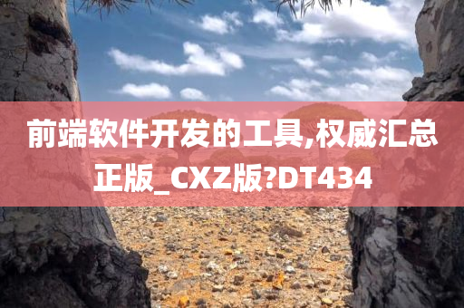 前端软件开发的工具,权威汇总正版_CXZ版?DT434