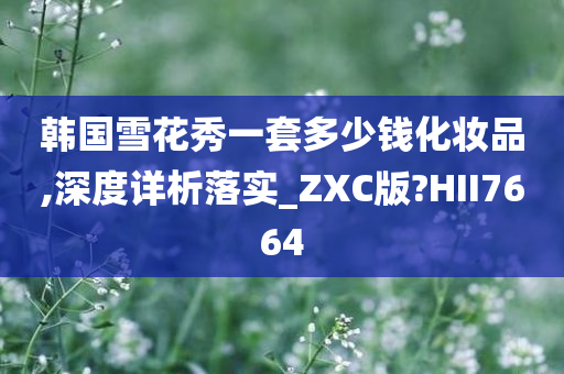 韩国雪花秀一套多少钱化妆品,深度详析落实_ZXC版?HII7664