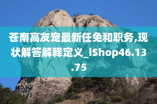 苍南高友宠最新任免和职务,现状解答解释定义_iShop46.13.75