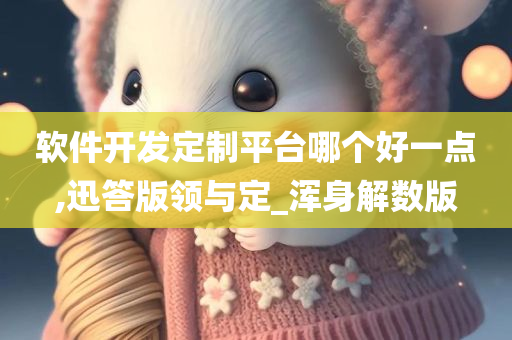 软件开发定制平台哪个好一点,迅答版领与定_浑身解数版