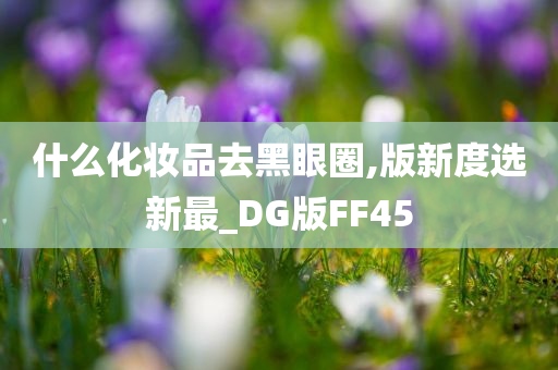 什么化妆品去黑眼圈,版新度选新最_DG版FF45
