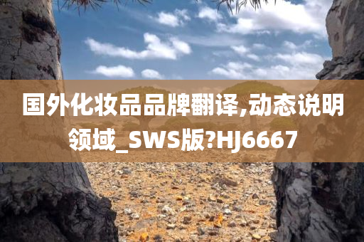 国外化妆品品牌翻译,动态说明领域_SWS版?HJ6667