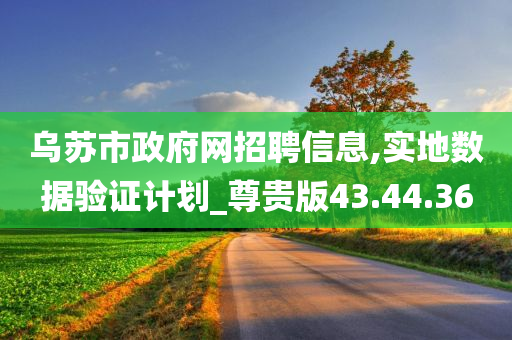 乌苏市政府网招聘信息,实地数据验证计划_尊贵版43.44.36