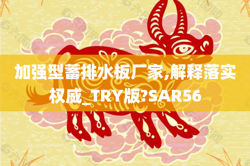 加强型蓄排水板厂家,解释落实权威_TRY版?SAR56