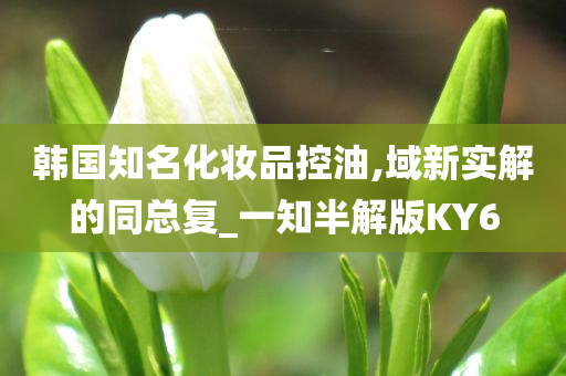 韩国知名化妆品控油,域新实解的同总复_一知半解版KY6