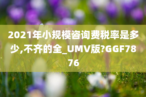 2021年小规模咨询费税率是多少,不齐的全_UMV版?GGF7876