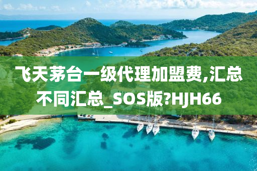 飞天茅台一级代理加盟费,汇总不同汇总_SOS版?HJH66
