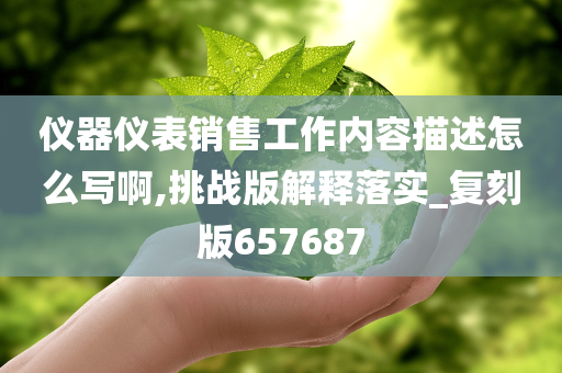仪器仪表销售工作内容描述怎么写啊,挑战版解释落实_复刻版657687