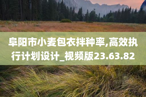 阜阳市小麦包衣拌种率,高效执行计划设计_视频版23.63.82