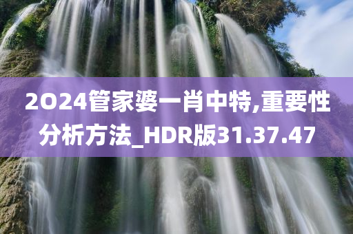 2O24管家婆一肖中特,重要性分析方法_HDR版31.37.47