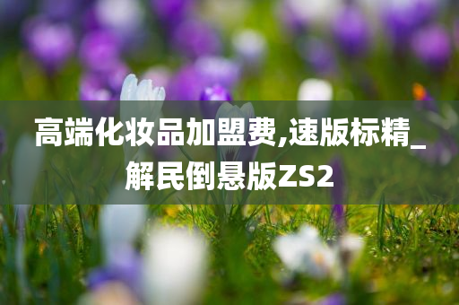 高端化妆品加盟费,速版标精_解民倒悬版ZS2