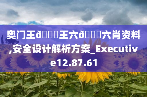 奥门王??王六??六肖资料,安全设计解析方案_Executive12.87.61