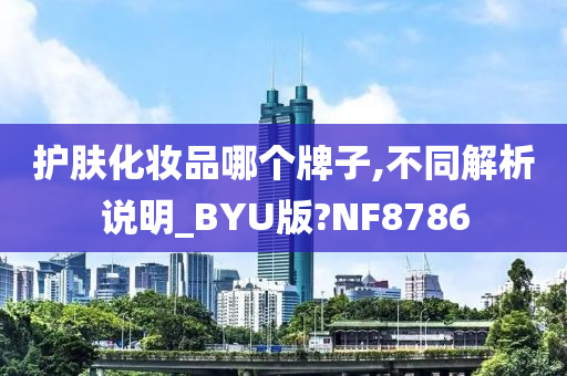 品牌解析 第3页