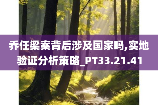 乔任梁案背后涉及国家吗,实地验证分析策略_PT33.21.41