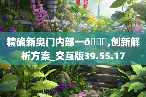精确新奥门内部一??,创新解析方案_交互版39.55.17