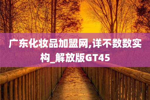 广东化妆品加盟网,详不数数实构_解放版GT45