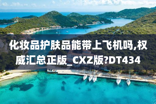 化妆品护肤品能带上飞机吗,权威汇总正版_CXZ版?DT434
