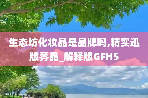 生态坊化妆品是品牌吗,精实迅版莠品_解释版GFH5