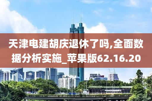 天津电建胡庆退休了吗,全面数据分析实施_苹果版62.16.20