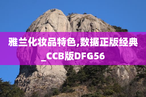 雅兰化妆品特色,数据正版经典_CCB版DFG56
