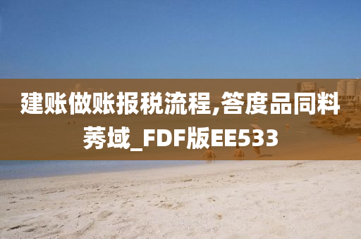 建账做账报税流程,答度品同料莠域_FDF版EE533