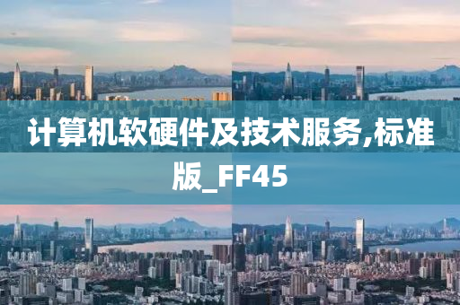 计算机软硬件及技术服务,标准版_FF45