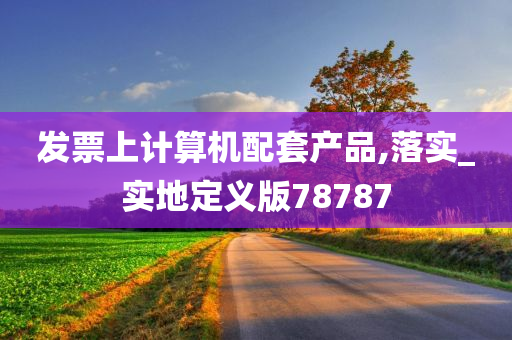 发票上计算机配套产品,落实_实地定义版78787