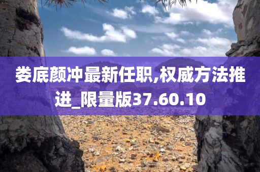 娄底颜冲最新任职,权威方法推进_限量版37.60.10
