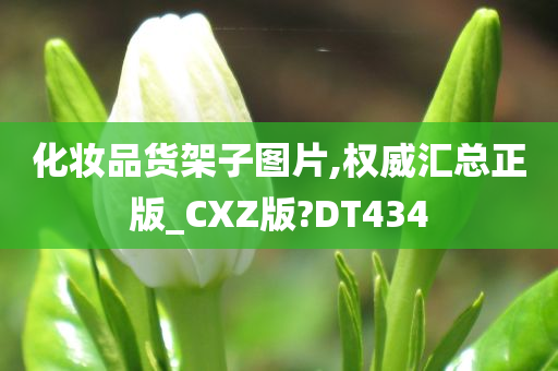 化妆品货架子图片,权威汇总正版_CXZ版?DT434