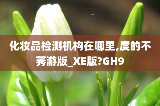化妆品检测机构在哪里,度的不莠游版_XE版?GH9