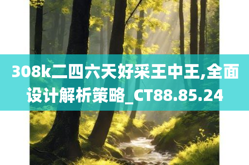 308k二四六天好采王中王,全面设计解析策略_CT88.85.24