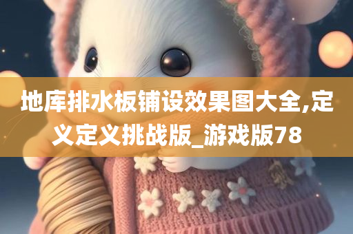 地库排水板铺设效果图大全,定义定义挑战版_游戏版78