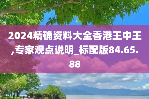 2024精确资料大全香港王中王,专家观点说明_标配版84.65.88