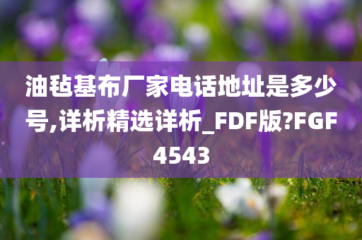 油毡基布厂家电话地址是多少号,详析精选今晚必出三肖2025_2025新澳门精准免费提供·精确判断详析_FDF版?FGF4543