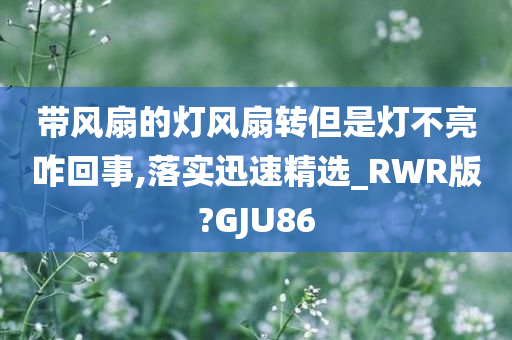 带风扇的灯风扇转但是灯不亮咋回事,落实迅速精选_RWR版?GJU86
