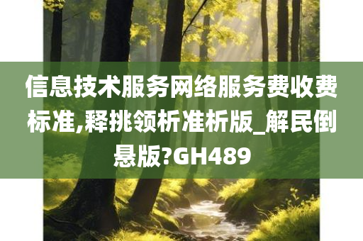 信息技术服务网络服务费收费标准,释挑领析准析版_解民倒悬版?GH489