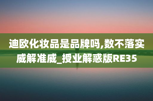 迪欧化妆品是品牌吗,数不落实威解准威_授业解惑版RE35