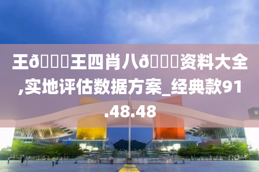 王??王四肖八??资料大全,实地评估数据方案_经典款91.48.48