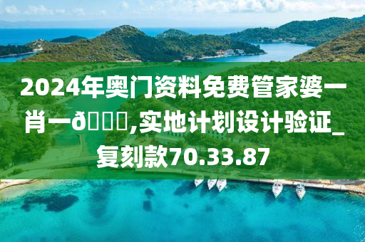 2024年奥门资料免费管家婆一肖一??,实地计划设计验证_复刻款70.33.87