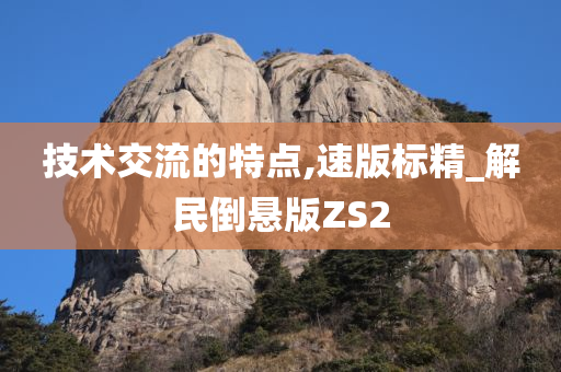 技术交流的特点,速版标精_解民倒悬版ZS2