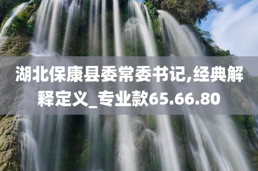 湖北保康县委常委书记,经典解释定义_专业款65.66.80