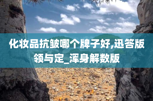 化妆品抗皱哪个牌子好,迅答版领与定_浑身解数版