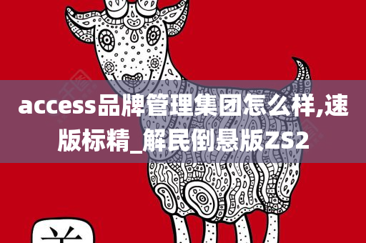 access品牌管理集团怎么样,速版标精_解民倒悬版ZS2