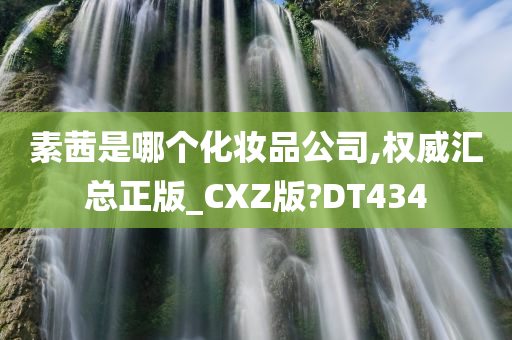 素茜是哪个化妆品公司,权威汇总正版_CXZ版?DT434